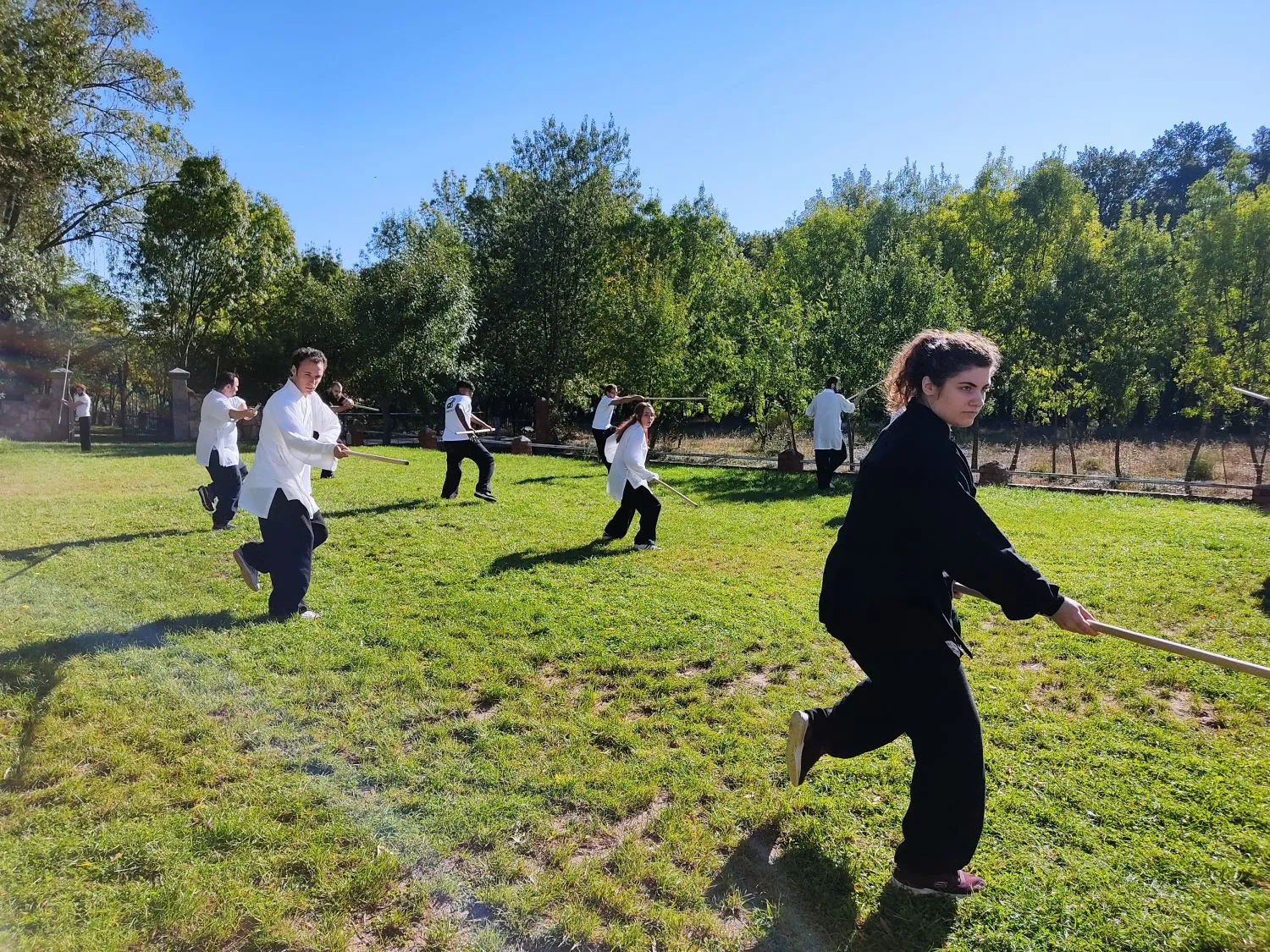 Wu Xing Dao (kung Fu, Tai Chi, Chikung Y Meditación) — artes marciales-studio en Madrid — 3
