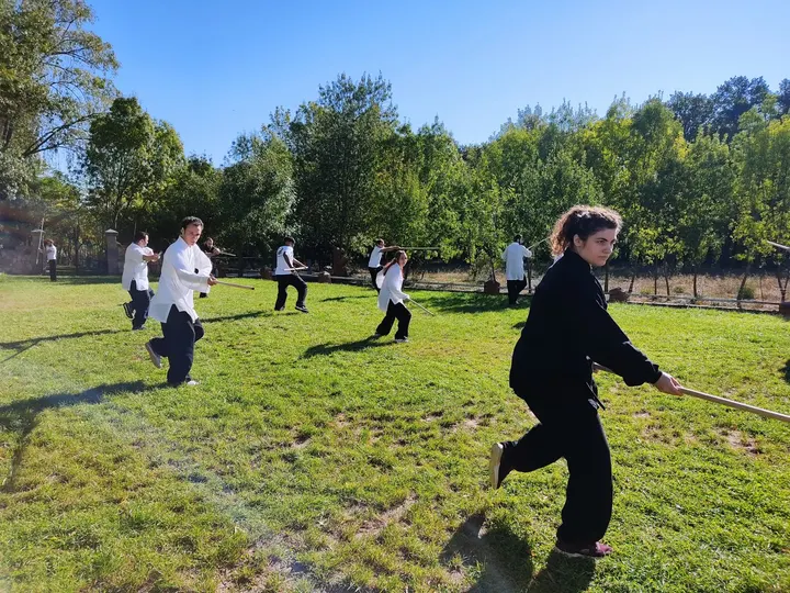 Wu Xing Dao (kung Fu, Tai Chi, Chikung Y Meditación) — artes marciales-studio en Madrid — 3