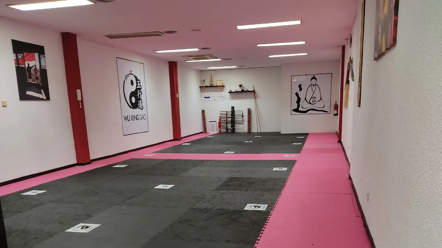 Wu Xing Dao (kung Fu, Tai Chi, Chikung Y Meditación) — artes marciales-studio en Madrid — 5