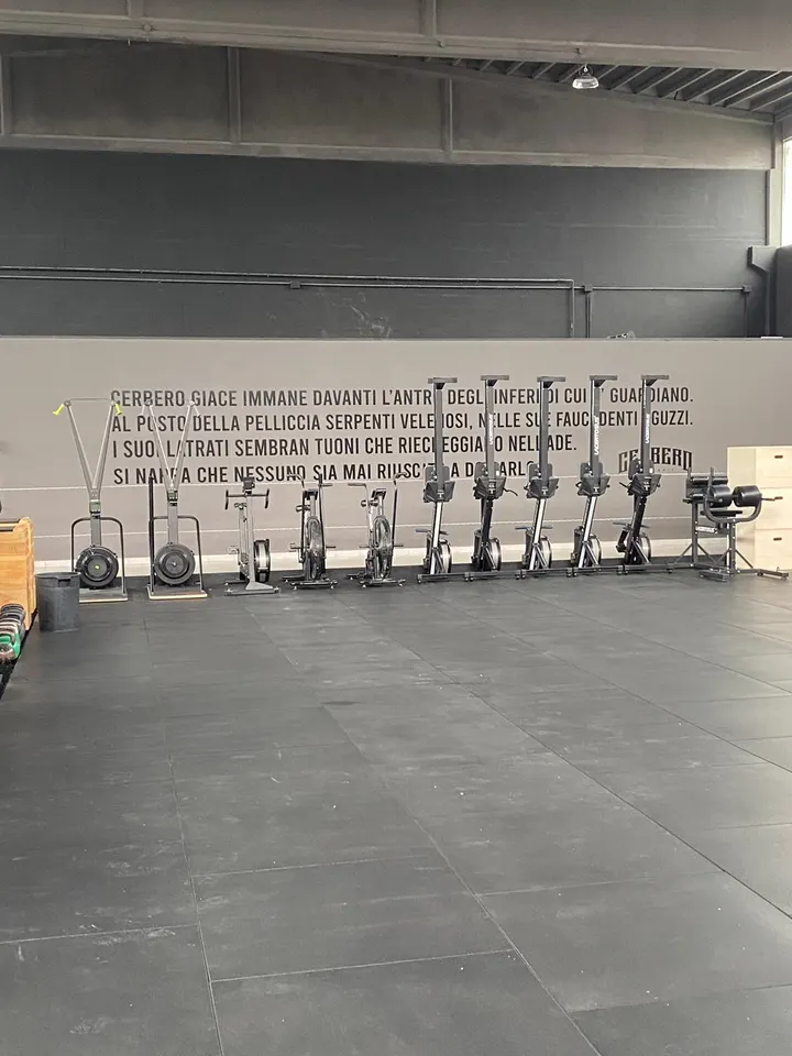 Cerbero Training Hub — palestre-studio a Parma — 4