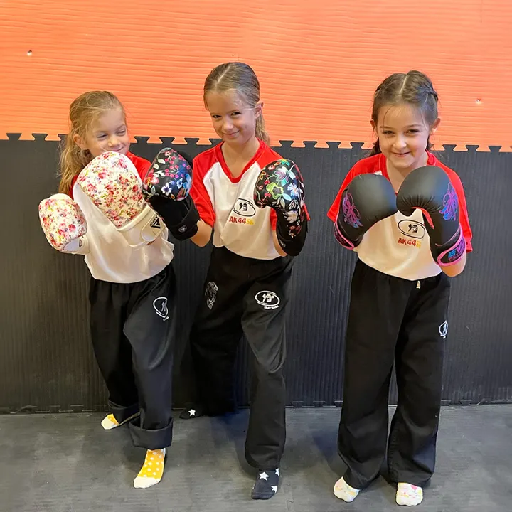 AK44SD — kickboxing-studio à Dervallières - Zola, Nantes — 3