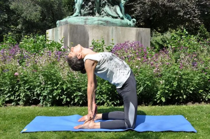 Bodhana Yoga — yoga-studio à Paris 5e Arrondissement, Paris — 3