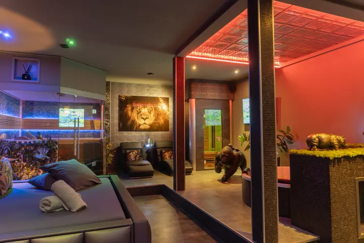 Bahia Privé — herstel-studio in Hoeven — 2