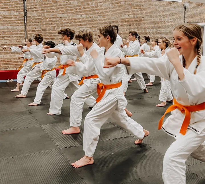Leonis Ju Jitsu Club — bjj-studio in Breda — 3