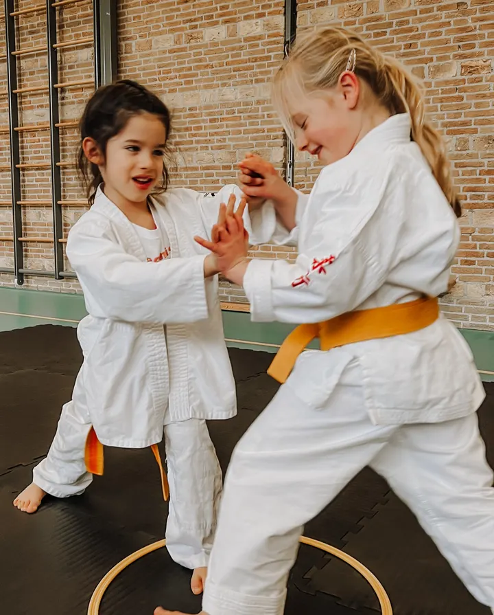 Leonis Ju Jitsu Club — bjj-studio in Breda — 4