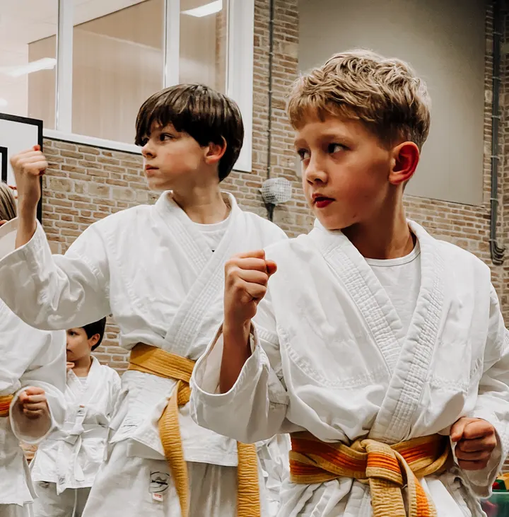 Leonis Ju Jitsu Club — bjj-studio in Breda — 5