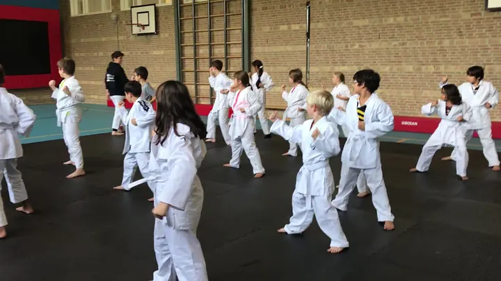 Leonis Ju Jitsu Club — Vechtsport in Breda