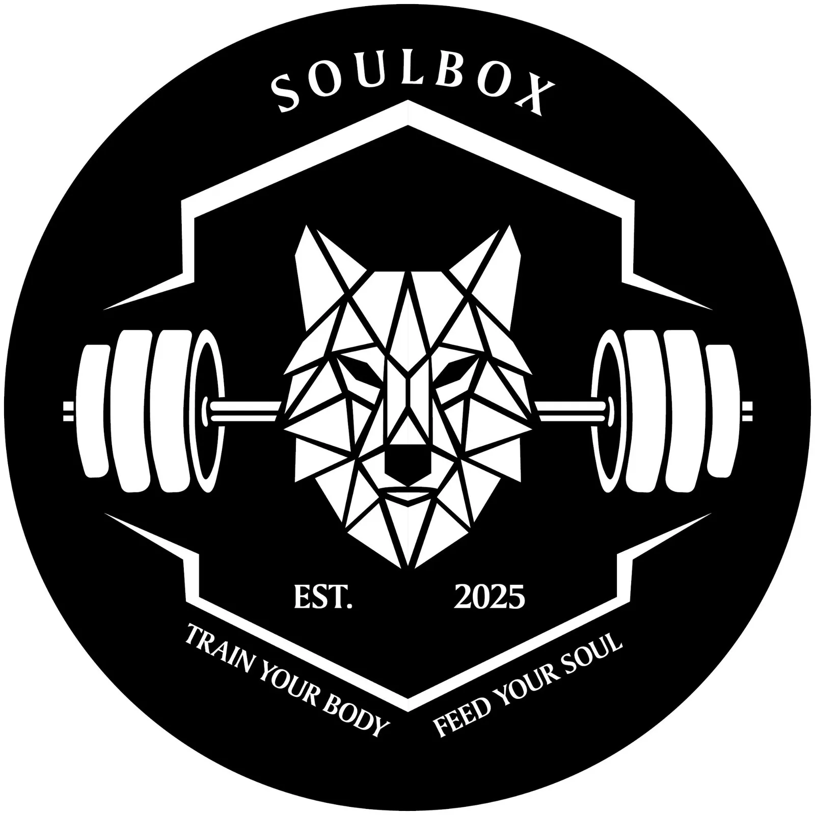 Soulbox Neu Ulm — crossfit-studio i Neu-Ulm — 3