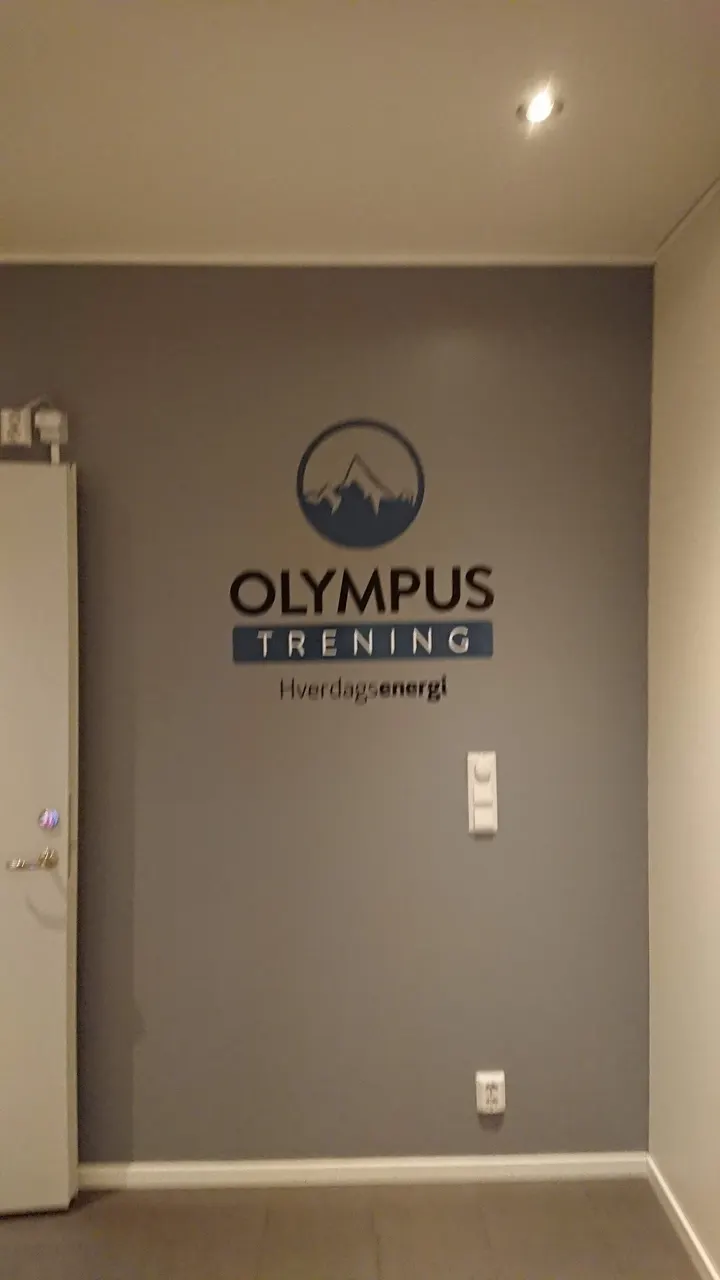 Olympus trening AS — pt-studio i Brandtenborg, Drammen — 3