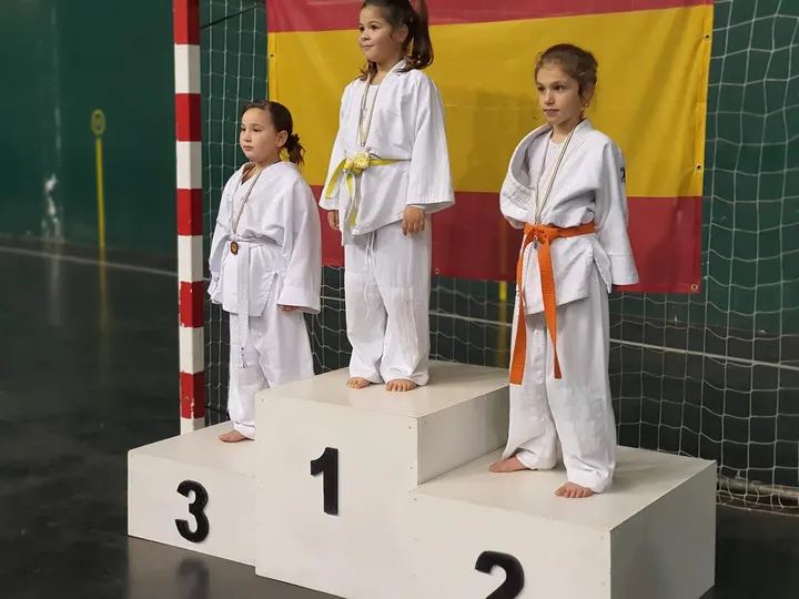 Gimnasio Héctor Ruiz — bjj-studio en Logroño — 5