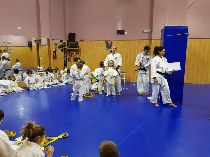 Gimnasio Héctor Ruiz — Artes marciales en Varea, Logroño