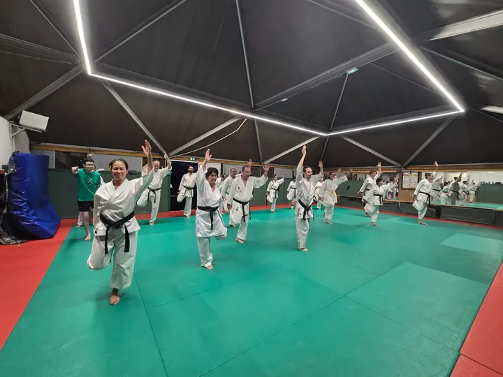 Dojo Jean Bouin — arts martiaux-studio à 8e Arrondissement, Marseille — 3