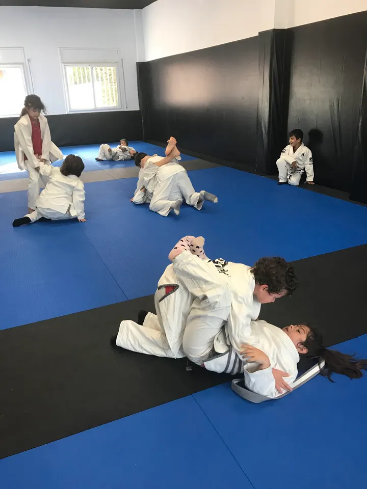 Loyalty Jiu Jitsu Vila Seca — artes marciales-studio en Vila-seca — 3