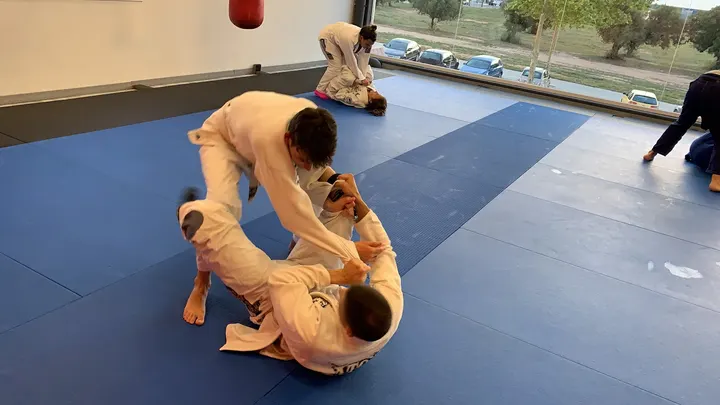 Loyalty Jiu Jitsu Vila Seca — artes marciales-studio en Vila-seca — 5