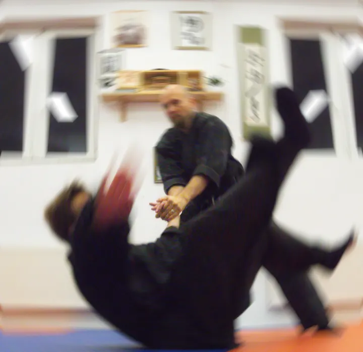 Bujinkan Nagomi Dojo Potsdam e.V. — kampfsport-studio in Teltower Vorstadt, Potsdam — 2