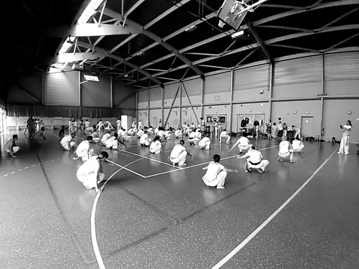 Capoeira Senzala Strasbourg — arts martiaux-studio à Strasbourg — 4