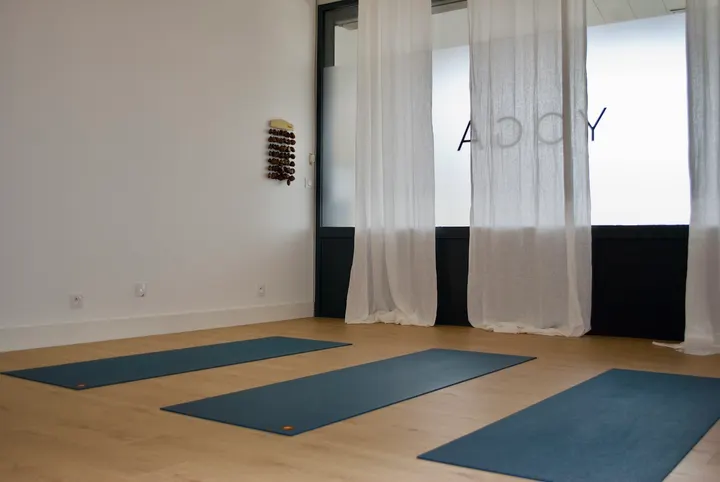 Ejy Yoga — yoga-studio à Franqueville-Saint-Pierre — 2