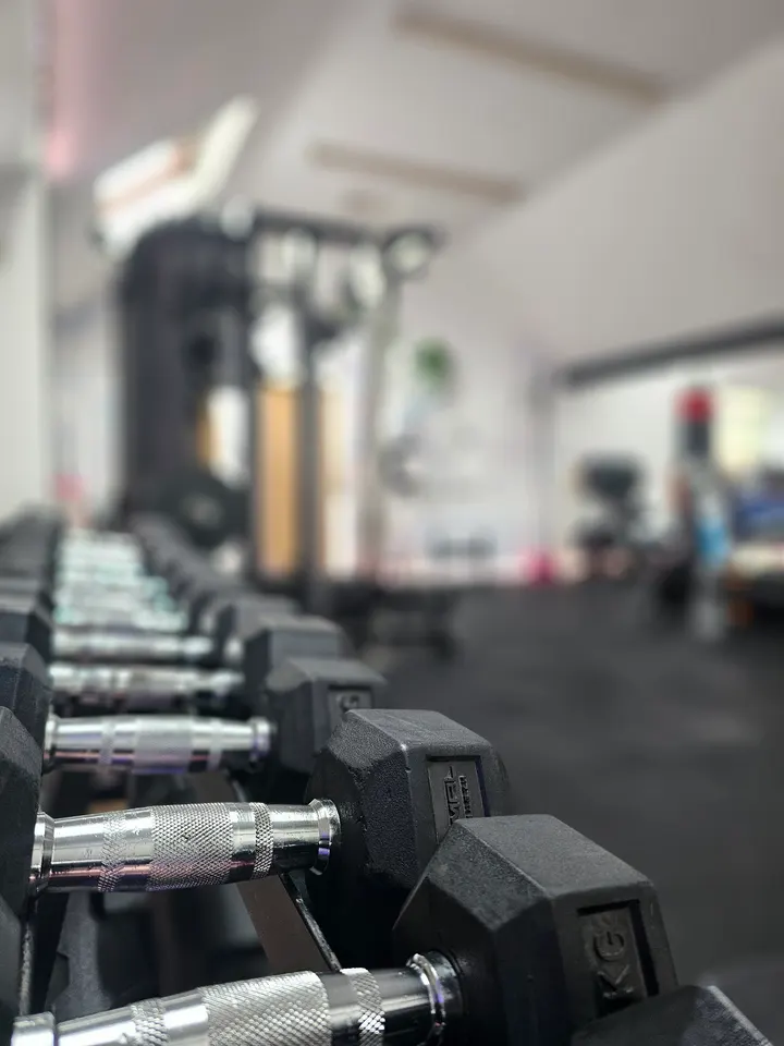 Fox Fit — fitness studio in Selkirk — 3