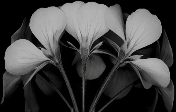 ASPIRE Pilates — Pilates in Centrum, Den Haag