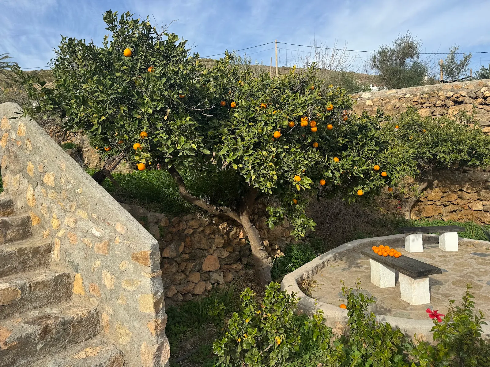 The Garden of Nâm ~ Retreat & Meditation Center in Nìjar — meditación-studio en Níjar — 3