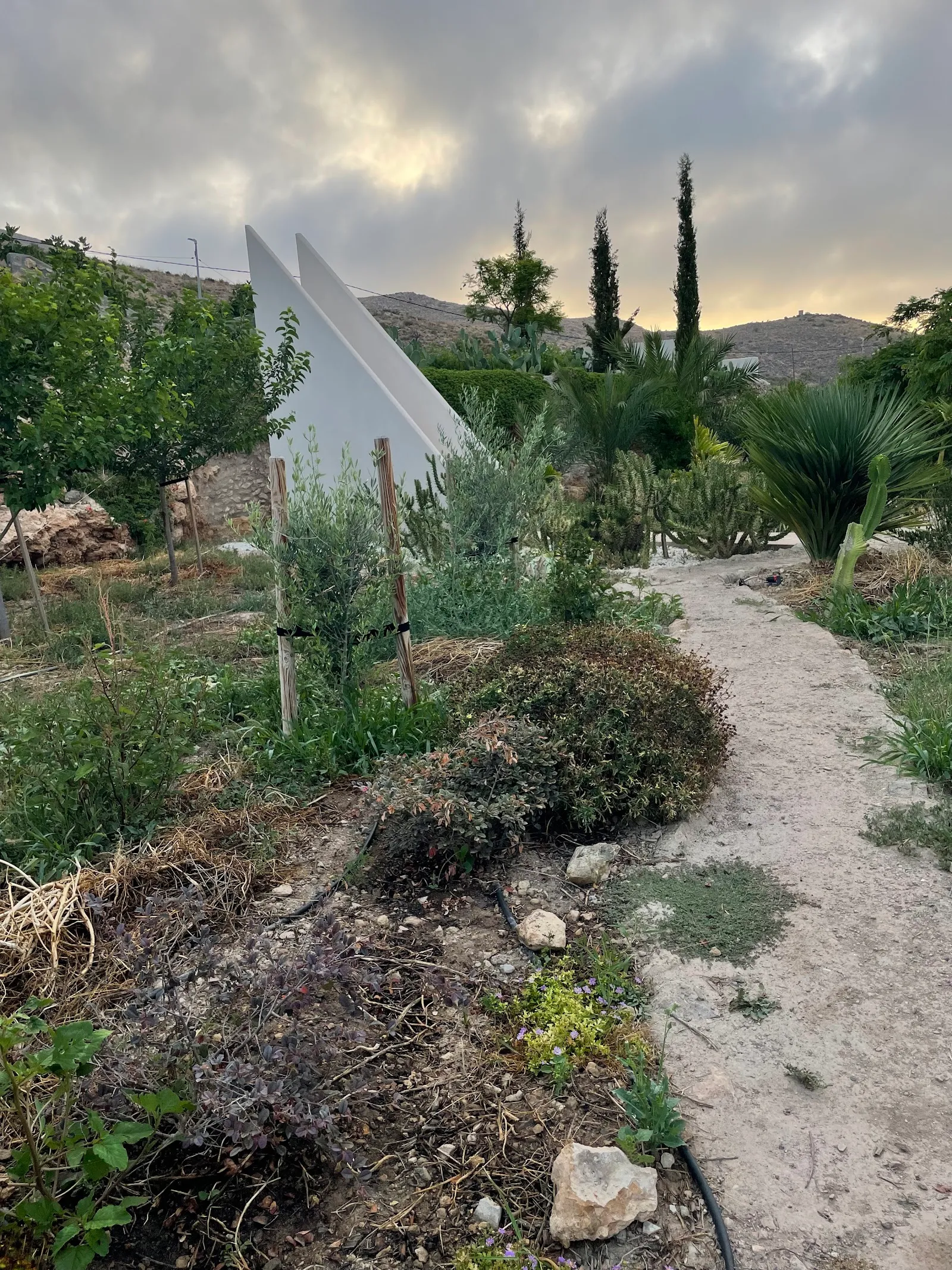 The Garden of Nâm ~ Retreat & Meditation Center in Nìjar — meditación-studio en Níjar — 4