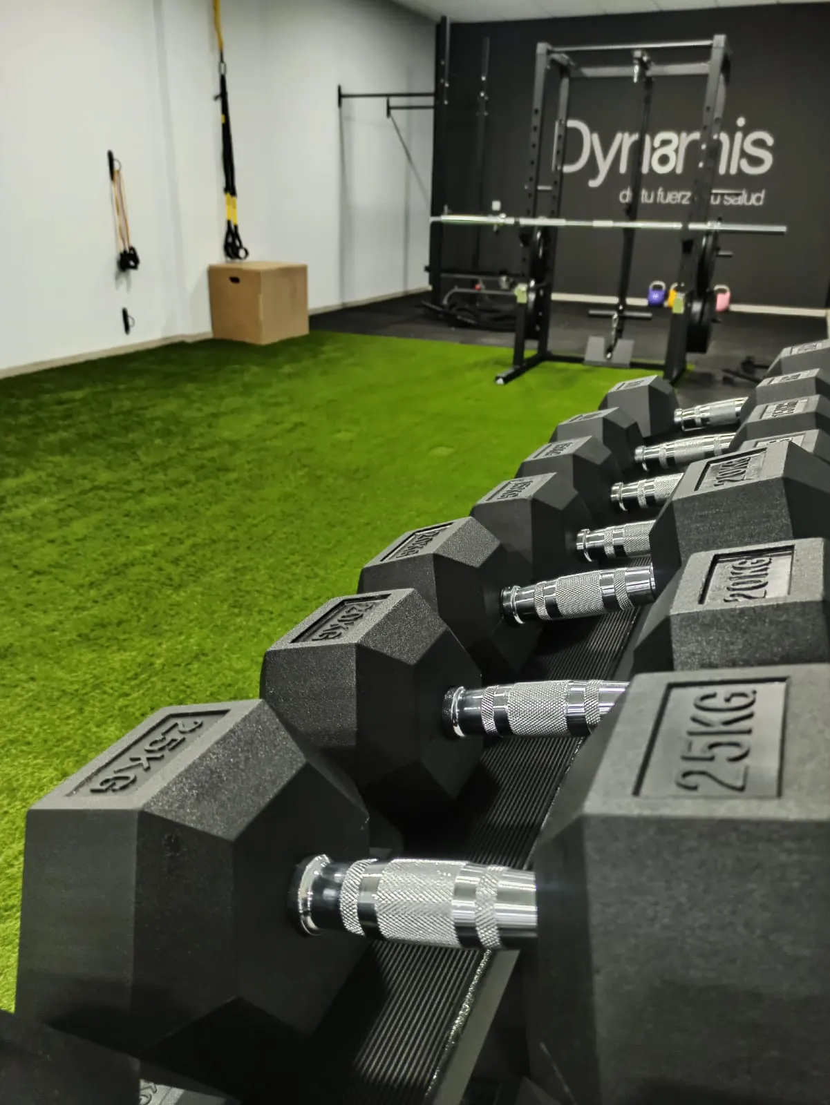 Centro de Entrenamiento Dynamis — entrenamiento personal-studio en Lugo — 4