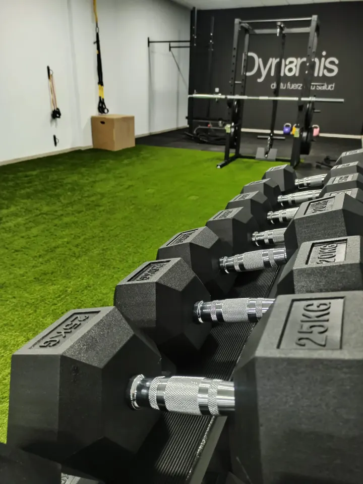 Centro de Entrenamiento Dynamis — entrenamiento personal-studio en Lugo — 4