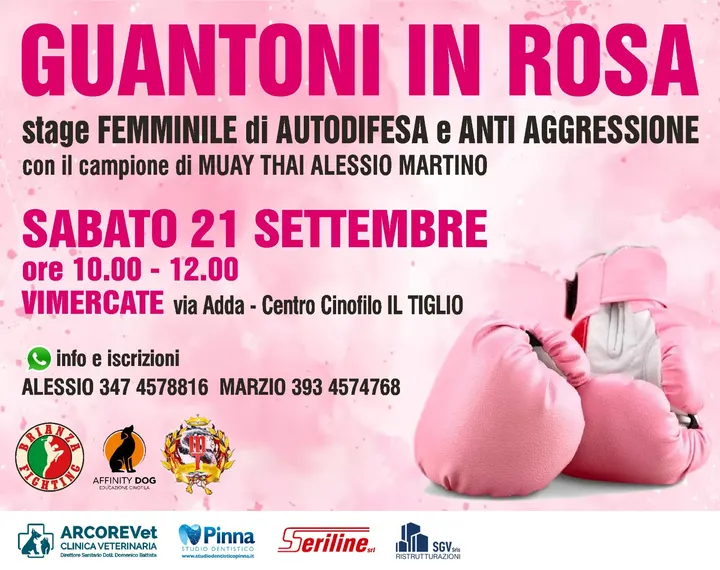 Brianza Fighting Monza — arti marziali-studio a Regina Pacis, Monza — 3
