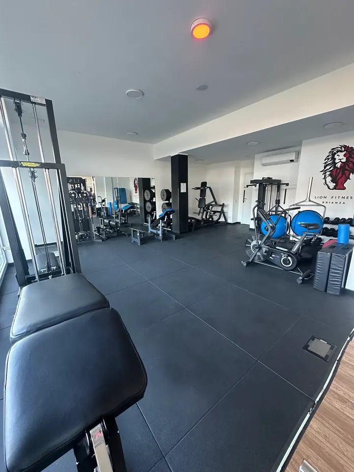 Lion Fitness Brianza — Palestre a Ornago
