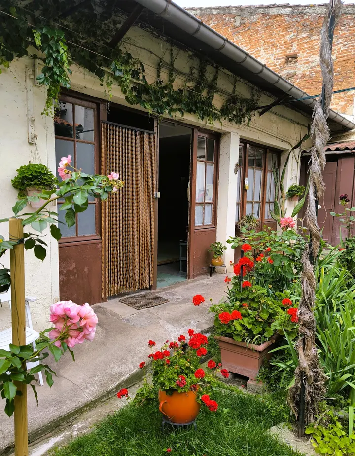 Sangha Yoga Toulouse, sangha-yoga — Yoga aux Chalets / Bayard / Belfort / Saint-Aubin / Dupuy, Toulouse