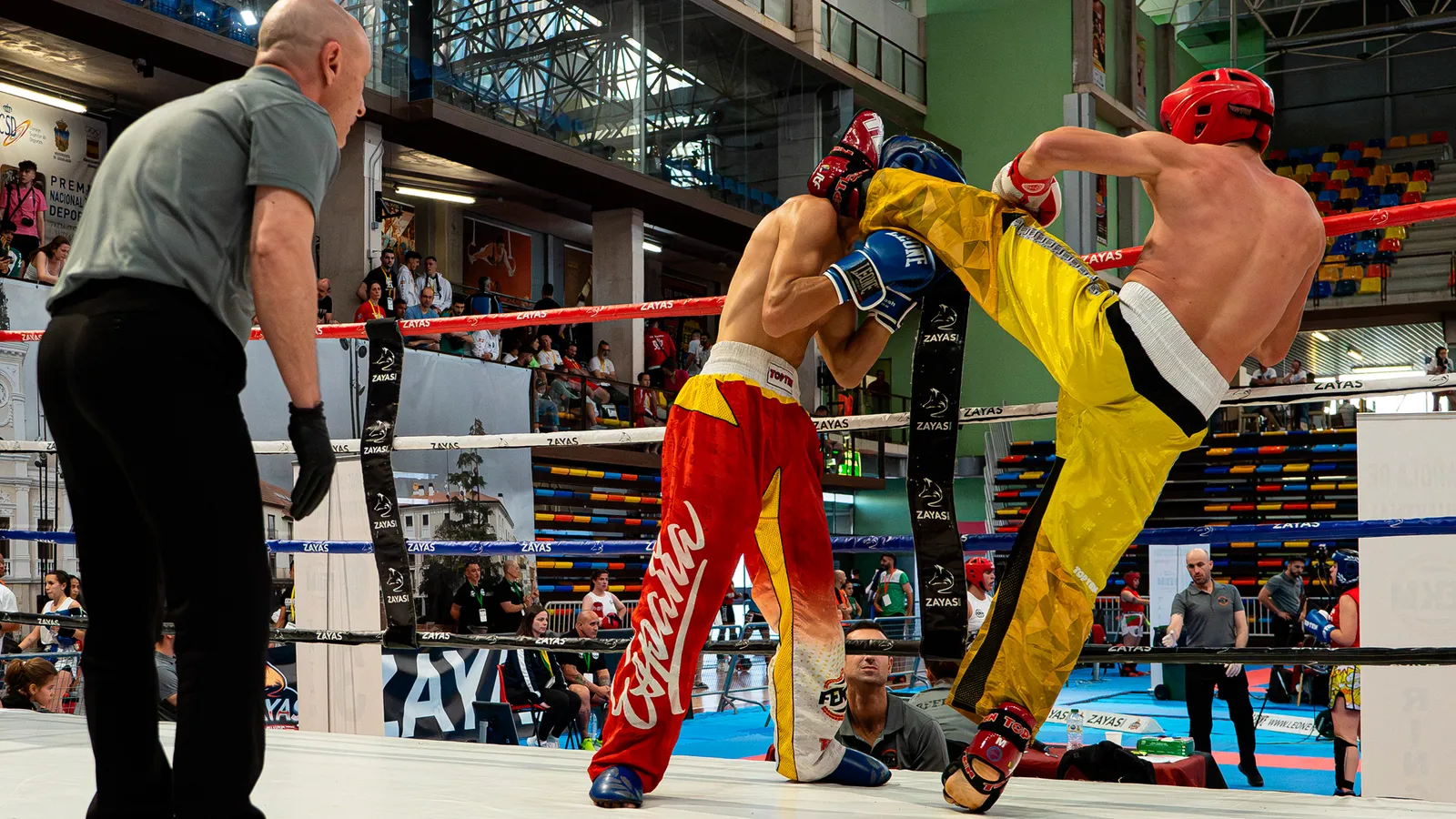 FEDERACIÓN ESPAÑOLA DE KICKBOXING Y MUAYTHAI — artes marciales-studio en Suroeste, Alcorcón — 2