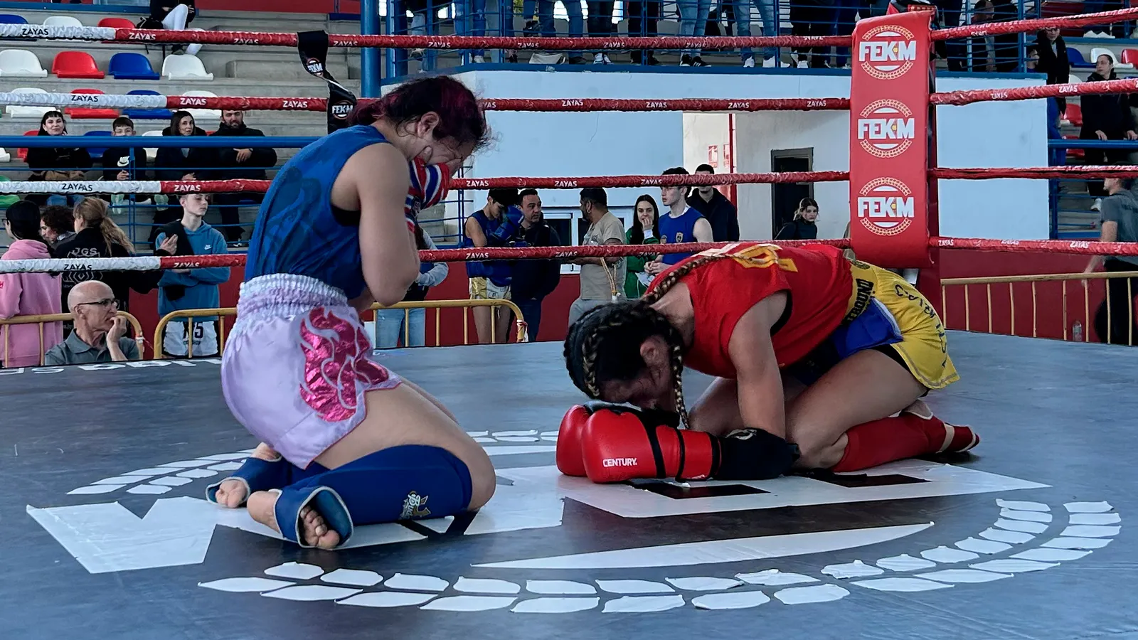FEDERACIÓN ESPAÑOLA DE KICKBOXING Y MUAYTHAI — artes marciales-studio en Suroeste, Alcorcón — 3