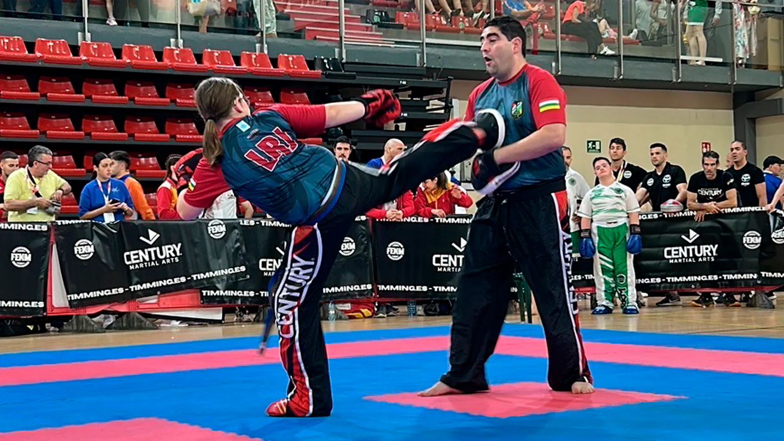 FEDERACIÓN ESPAÑOLA DE KICKBOXING Y MUAYTHAI — artes marciales-studio en Alcorcón — 3