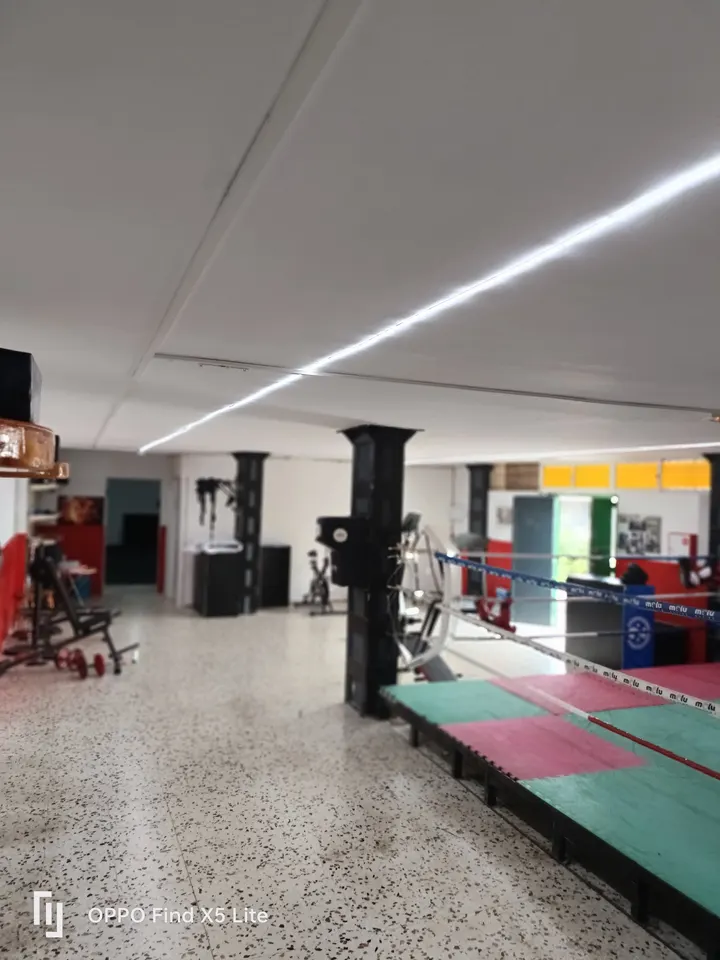 Gimnasio Montaña 2 boxeo mma jiujitsu — artes marciales-studio en Vega de San José, Las Palmas de Gran Canaria — 2