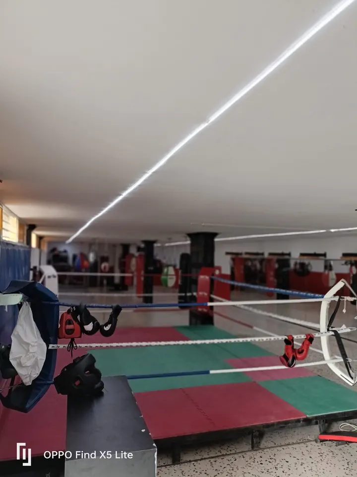 Gimnasio Montaña 2 boxeo mma jiujitsu — artes marciales-studio en Vega de San José, Las Palmas de Gran Canaria — 3