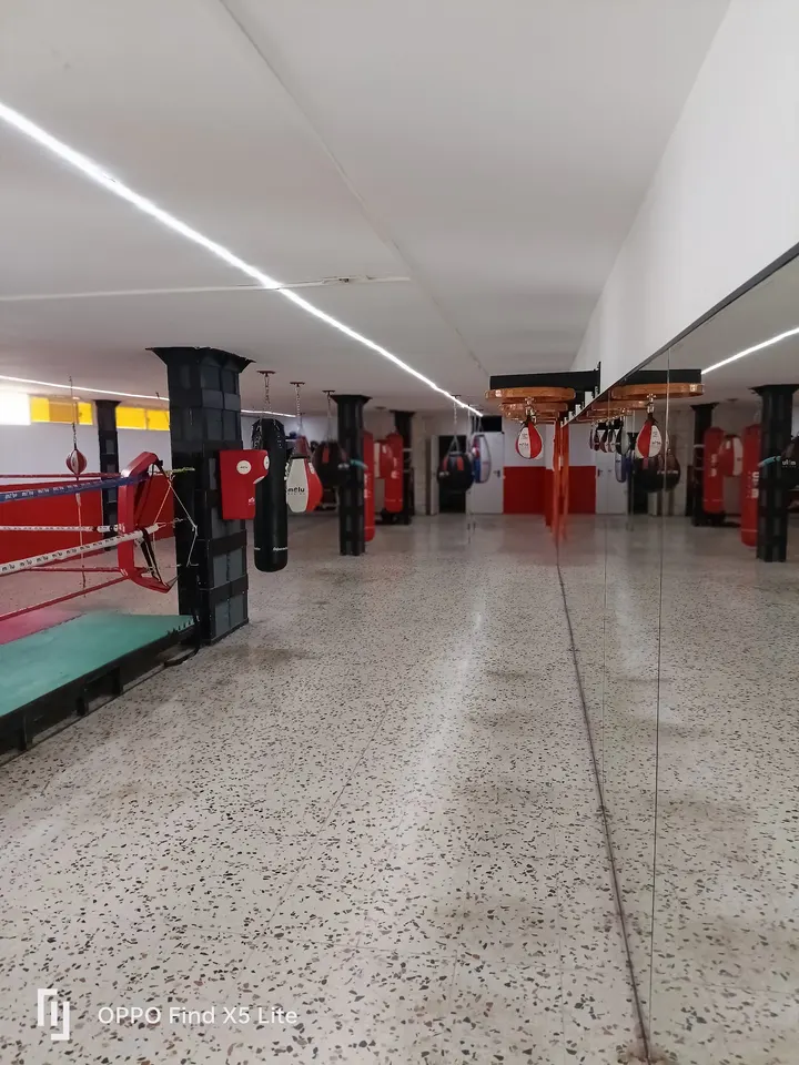 Gimnasio Montaña 2 boxeo mma jiujitsu — artes marciales-studio en Las Palmas de Gran Canaria — 3