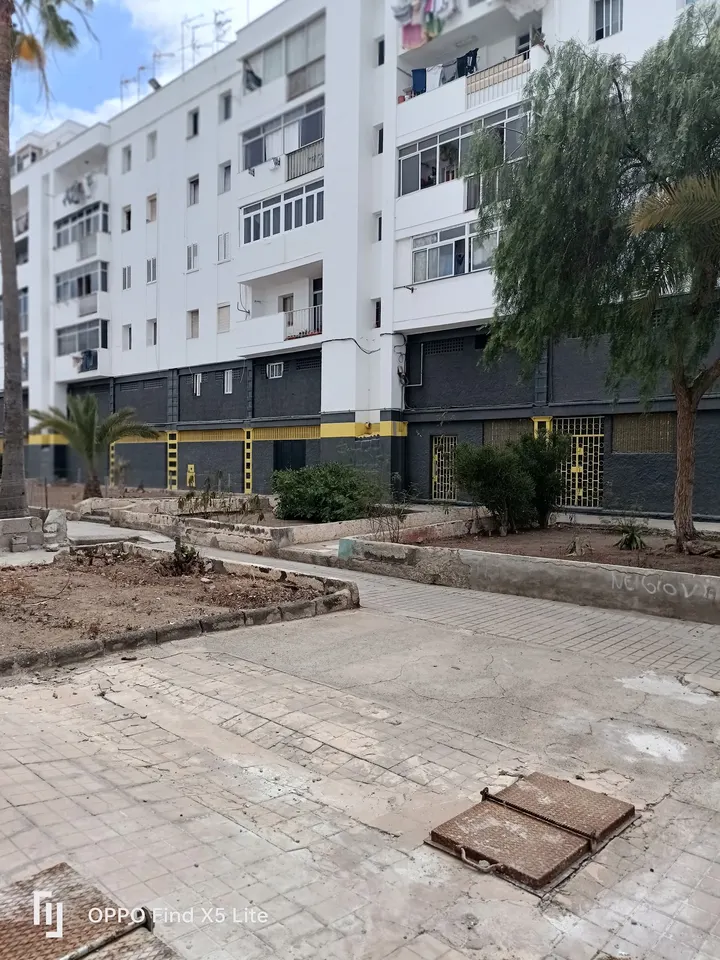 Gimnasio Montaña 2 boxeo mma jiujitsu — artes marciales-studio en Las Palmas de Gran Canaria — 4