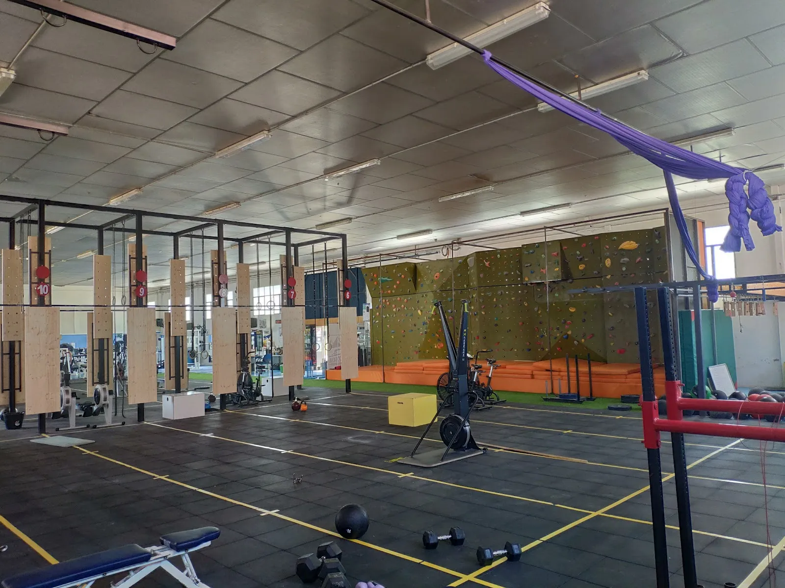 CrossFit Dolores — crossfit-studio en Dolores — 2