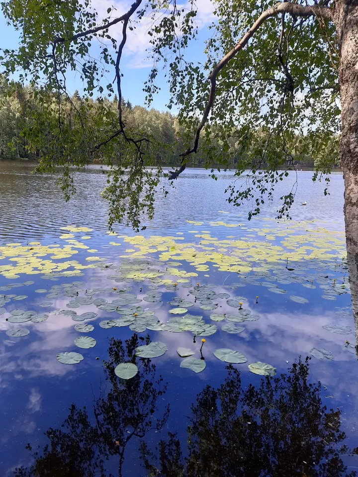 Hervannan vapaa-aikakeskuksen kuntosali — Fitnessstudio – Hervanta, Tampere