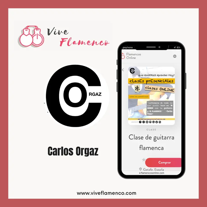 Vive Flamenco — baile-studio en Sevilla — 3