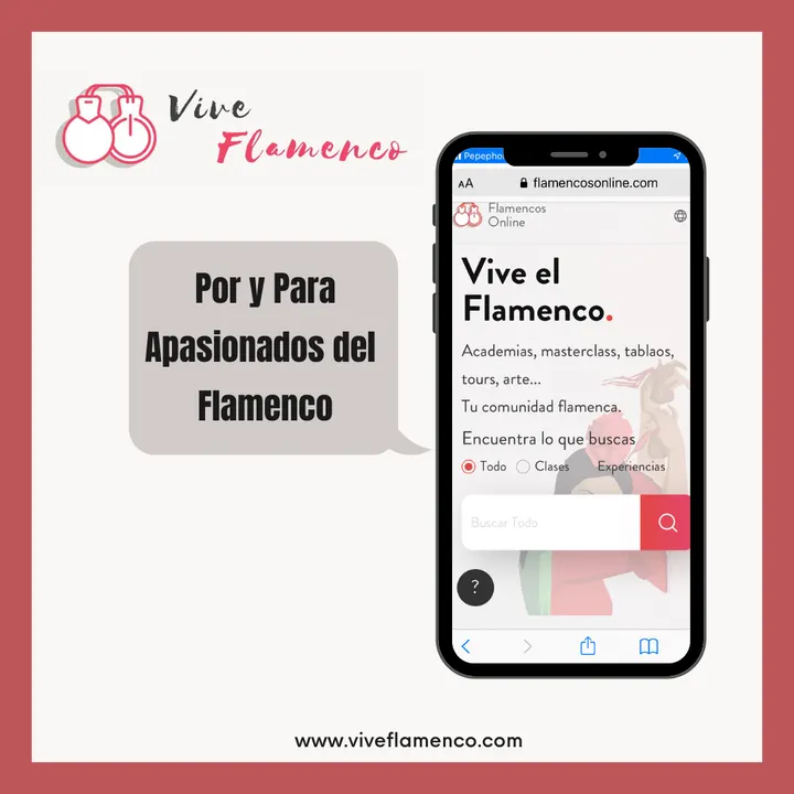 Vive Flamenco — baile-studio en Sevilla — 5