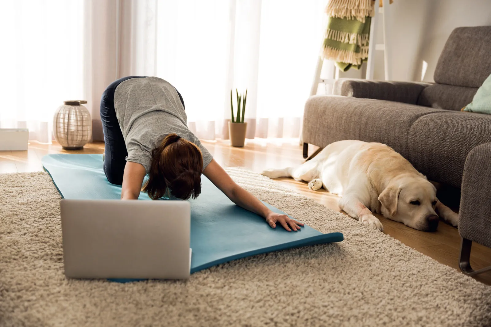LotusTree - Yoga & Gesundheit — yoga-studio i Lübeck — 3