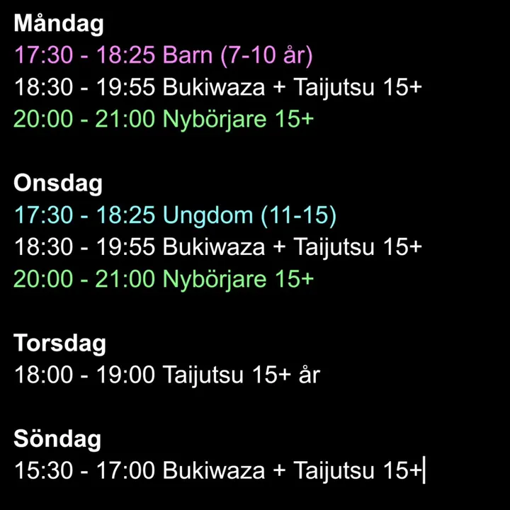 Lunds Aikidoklubb — kampsport-studio i Stadskärnan, Lund — 2