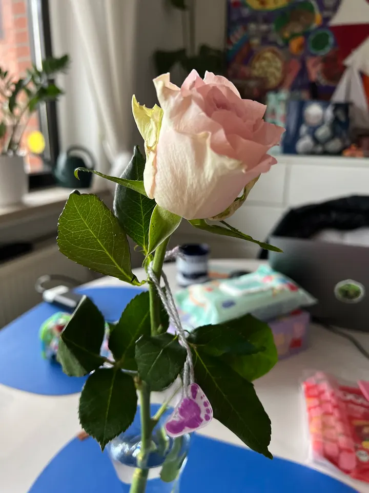 Baby Body & Soul — wellness-studio in Neuss — 5
