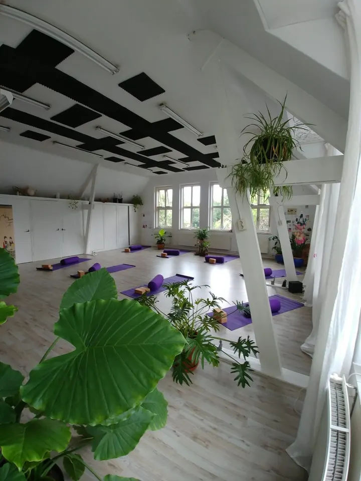 Yogalein Lidwinastraat — Yoga in Vught