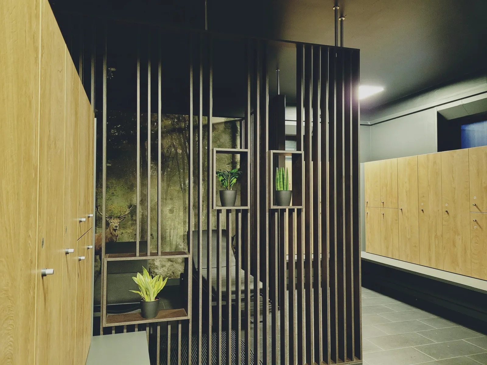 WTEO @ BLASKY Fitness — träningsstudio i Frankfurt am Main — 4