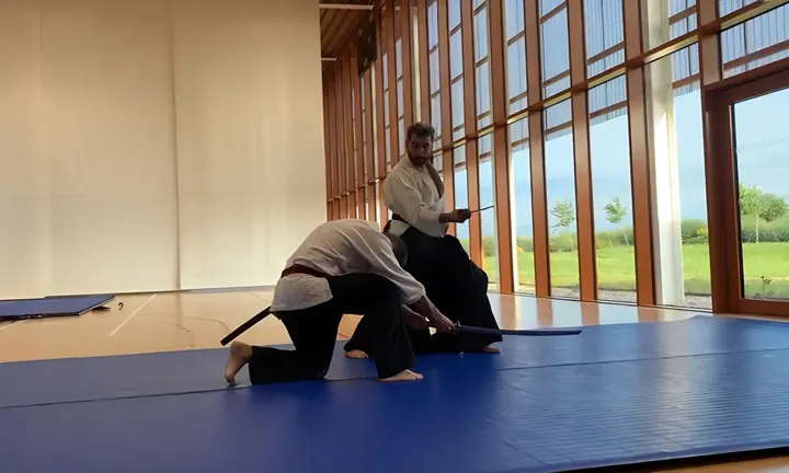 Shin Senshikan — arts martiaux-studio à Tribunal-Gare-Porte de Schirmeck, Strasbourg — 2