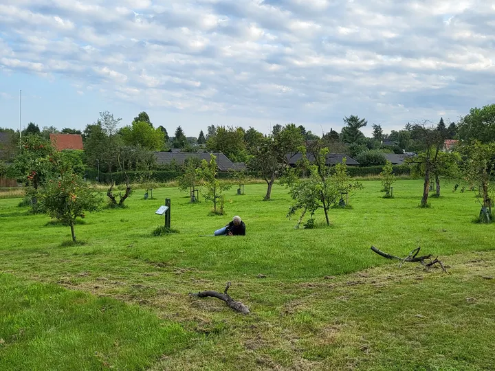 Den frivillige forening for Pilates kvindernes motion og sundhed, FFFPKMS — pilates-studio i Skovrød Huse, Birkerød — 2