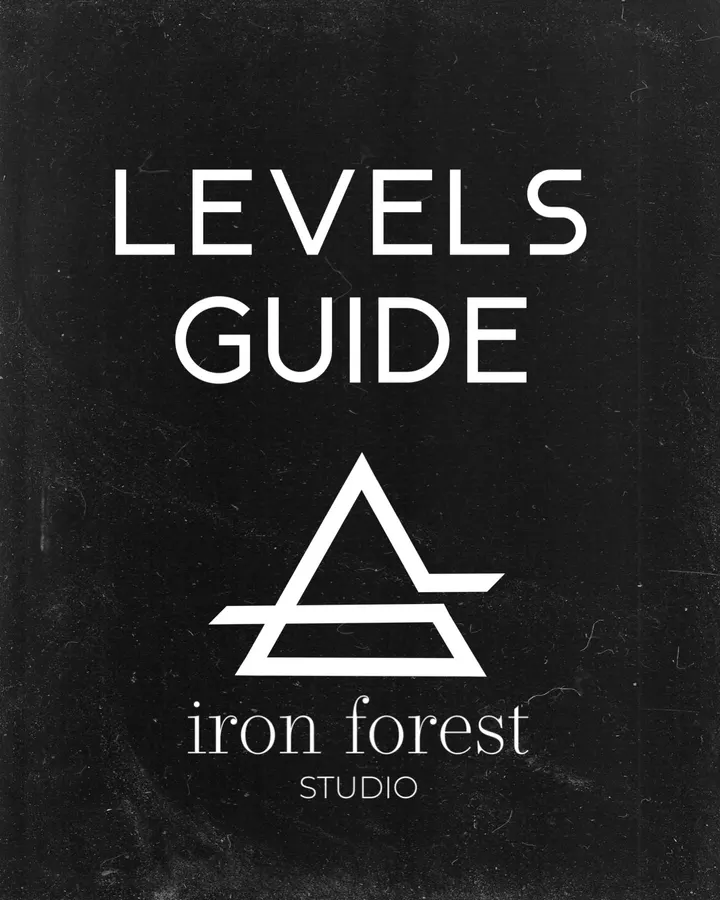 Iron Forest Studio Hilversum — dans-studio in Hilversum — 2