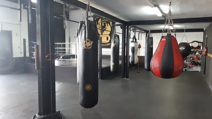 C.D Lionheart Boxing — artes marciales-studio en Huelva — 2